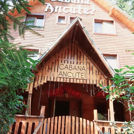Cabana Ancutei Rucăr Extérieur photo