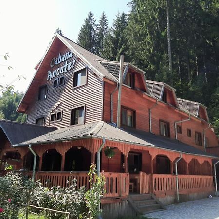 Cabana Ancutei Rucăr Extérieur photo
