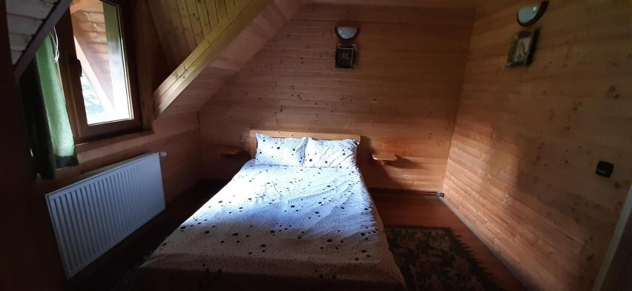 Cabana Ancutei Rucăr Extérieur photo