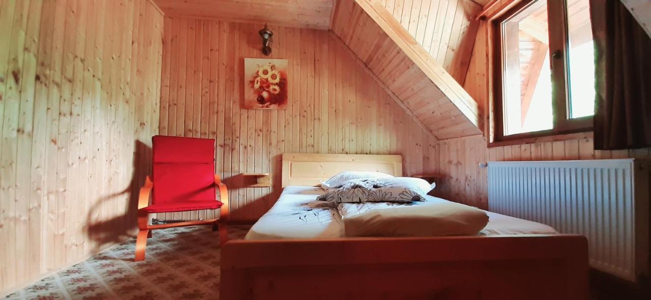 Cabana Ancutei Rucăr Extérieur photo