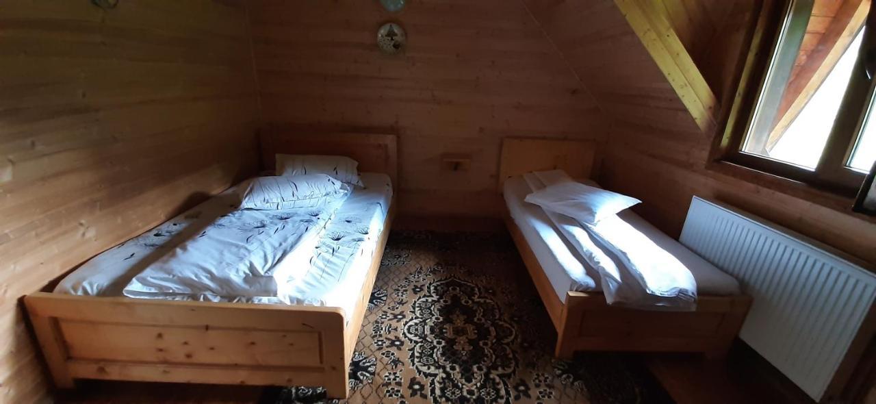 Cabana Ancutei Rucăr Extérieur photo
