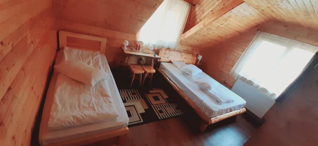 Cabana Ancutei Rucăr Extérieur photo