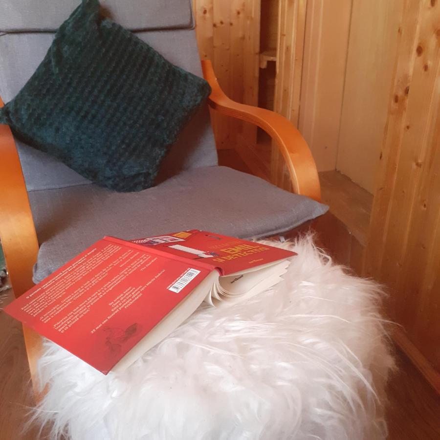 Cabana Ancutei Rucăr Extérieur photo