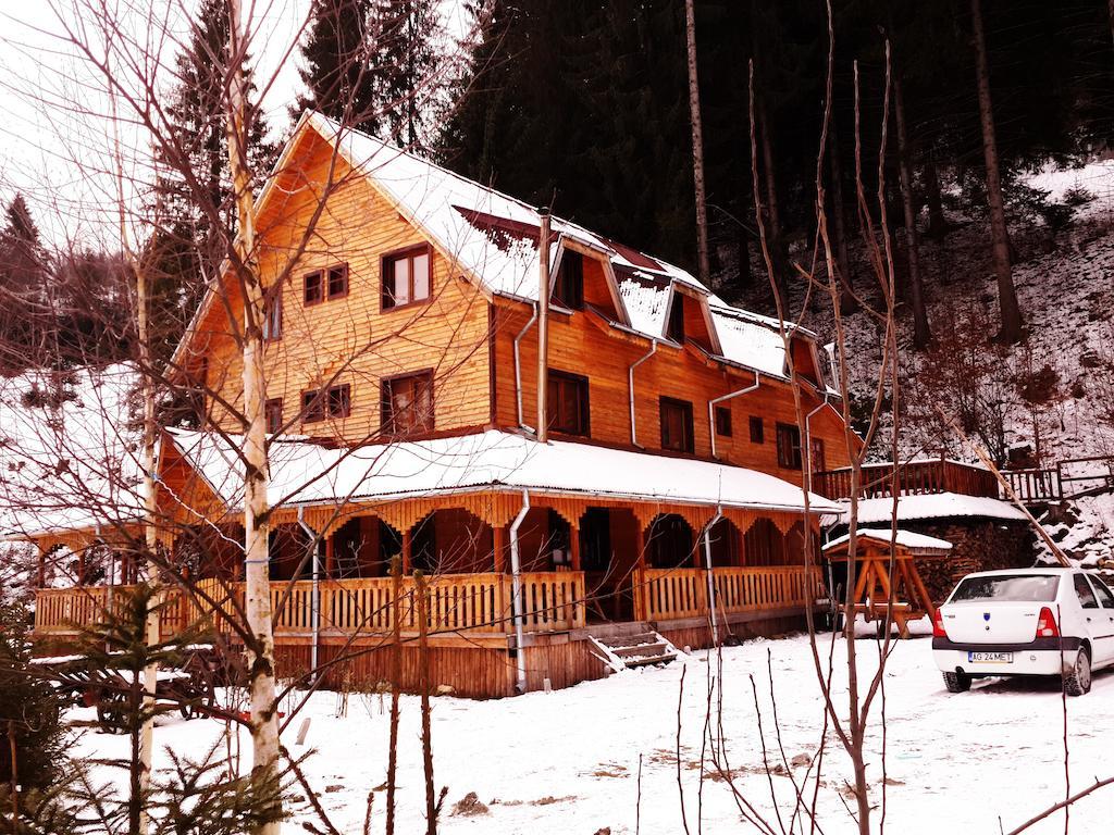 Cabana Ancutei Rucăr Extérieur photo
