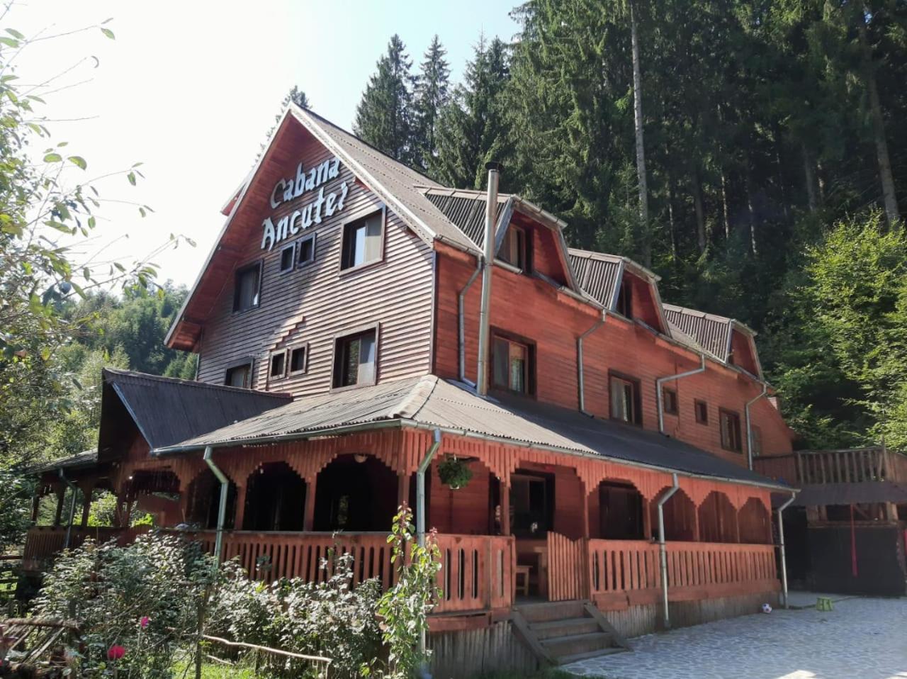 Cabana Ancutei Rucăr Extérieur photo