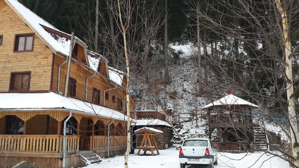 Cabana Ancutei Rucăr Extérieur photo