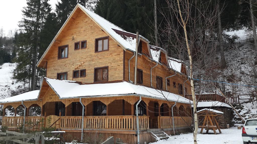 Cabana Ancutei Rucăr Extérieur photo