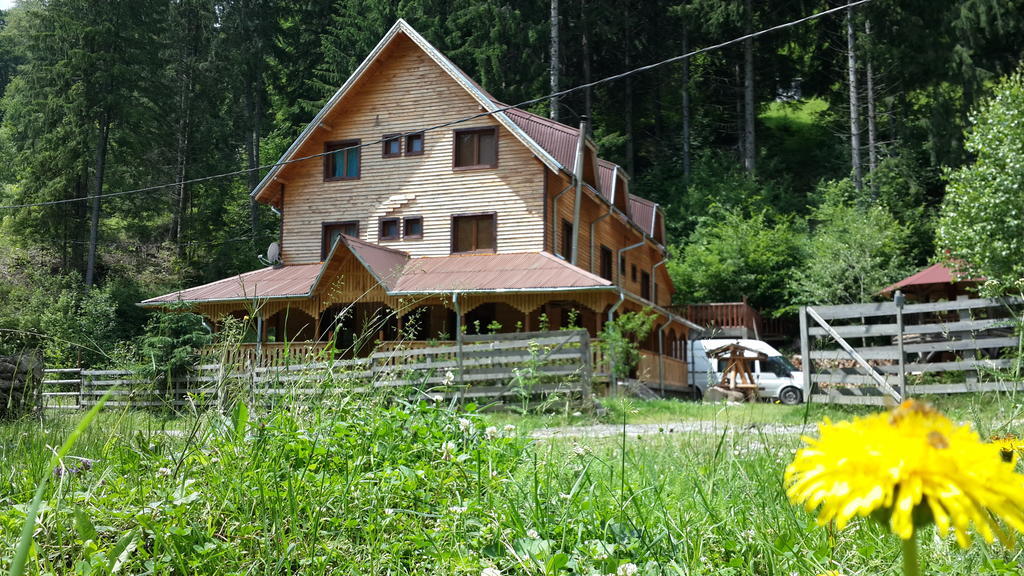 Cabana Ancutei Rucăr Extérieur photo
