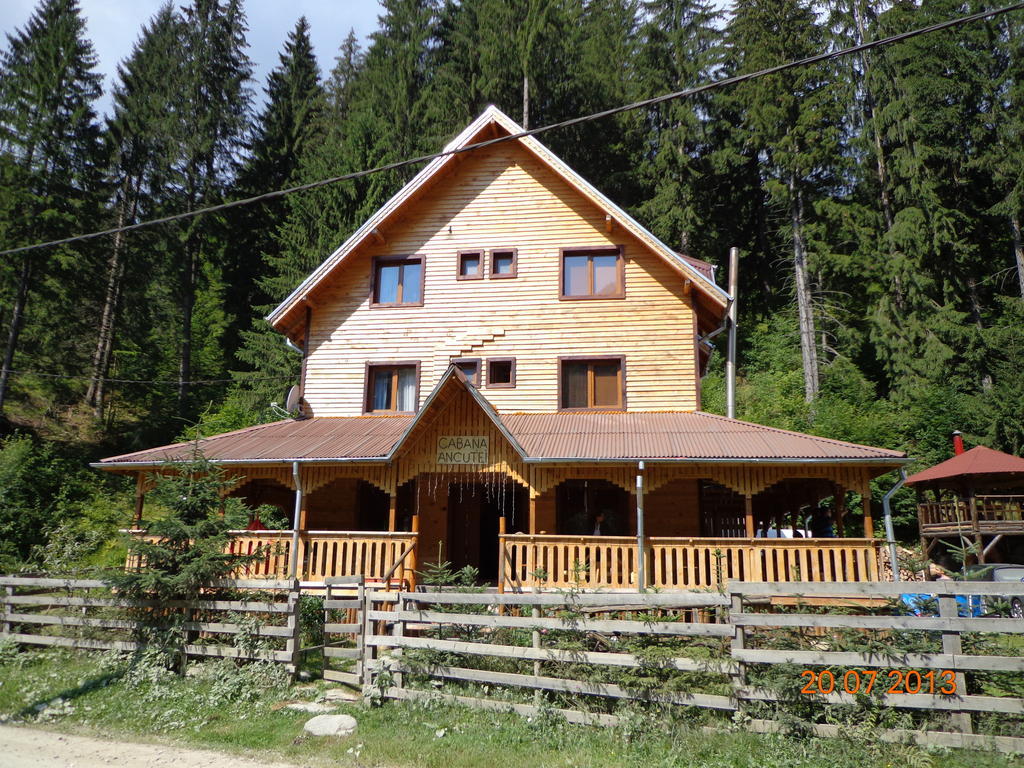 Cabana Ancutei Rucăr Extérieur photo