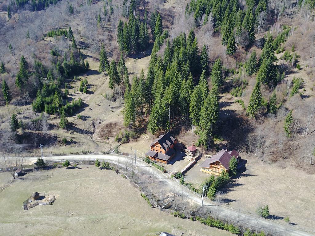 Cabana Ancutei Rucăr Extérieur photo