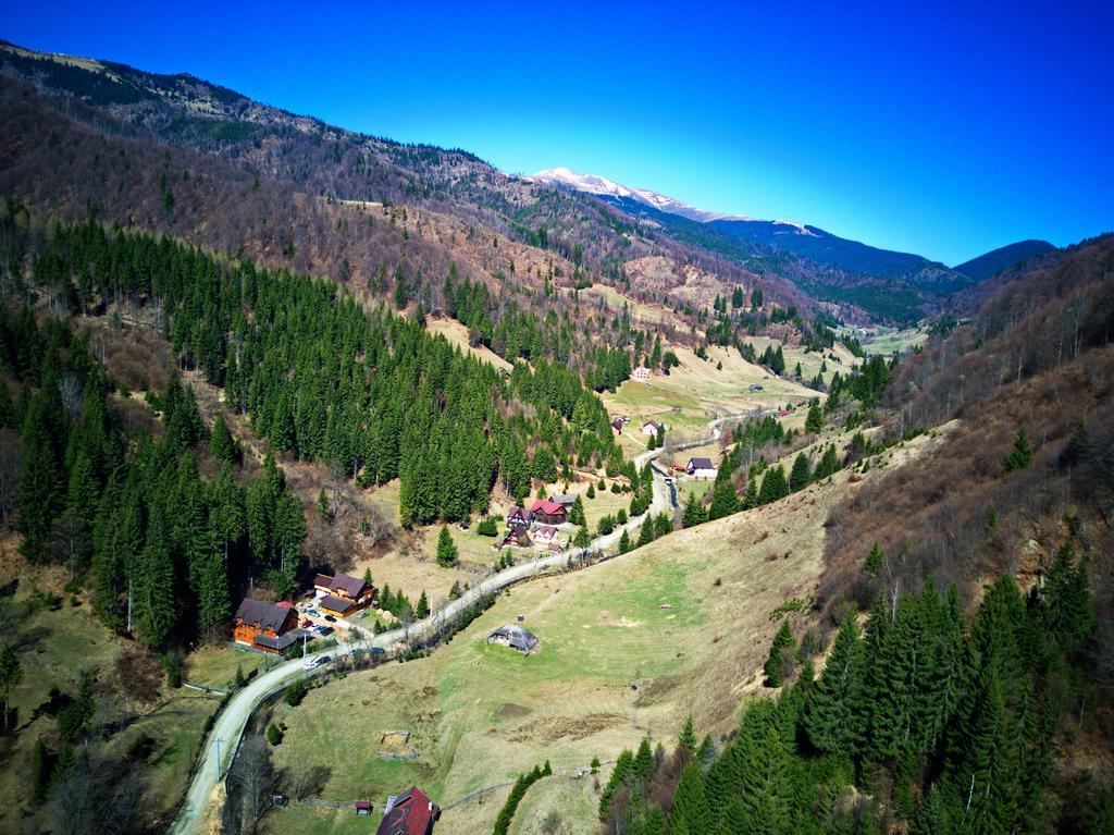 Cabana Ancutei Rucăr Extérieur photo