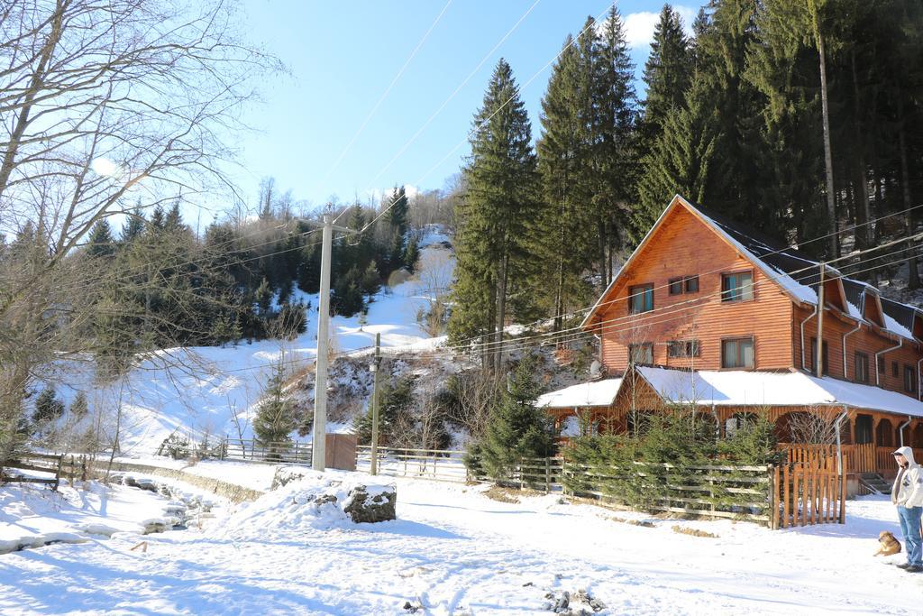 Cabana Ancutei Rucăr Extérieur photo