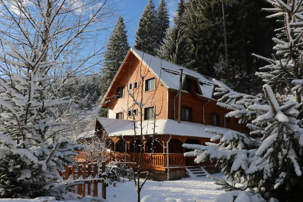 Cabana Ancutei Rucăr Extérieur photo