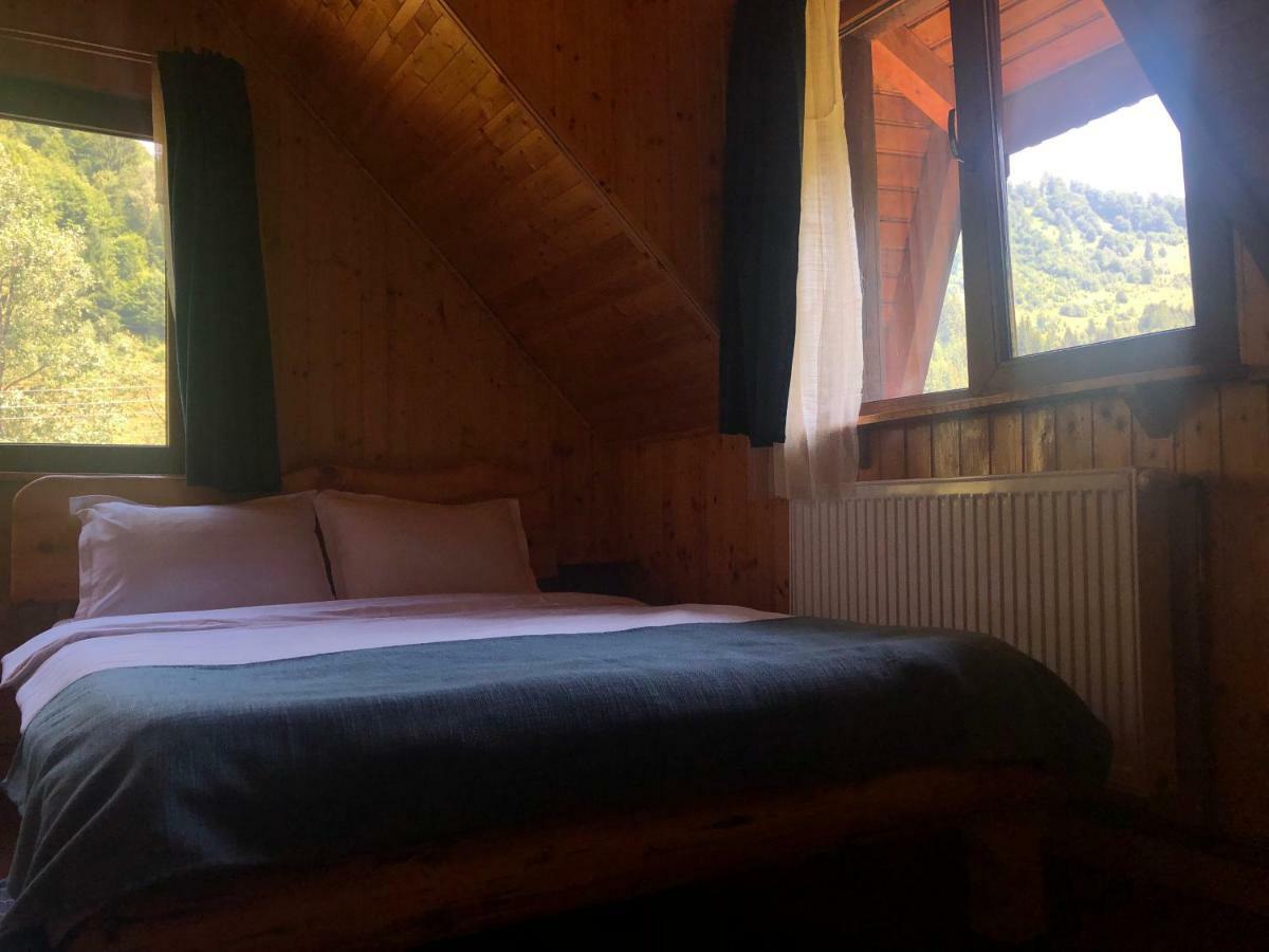 Cabana Ancutei Rucăr Extérieur photo
